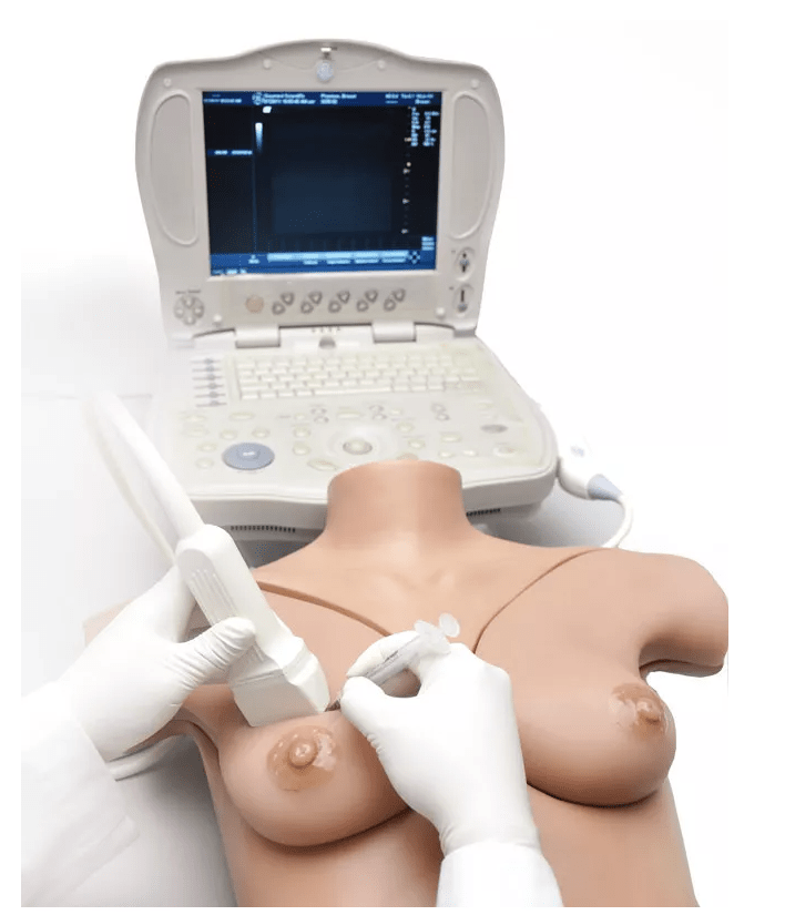 Brustphantomsimulator - Erler - Zimmer